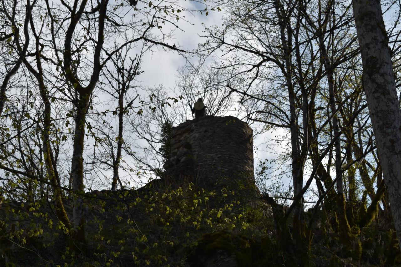 Hotel Le Meleze Moirans en Montagne Bagian luar foto