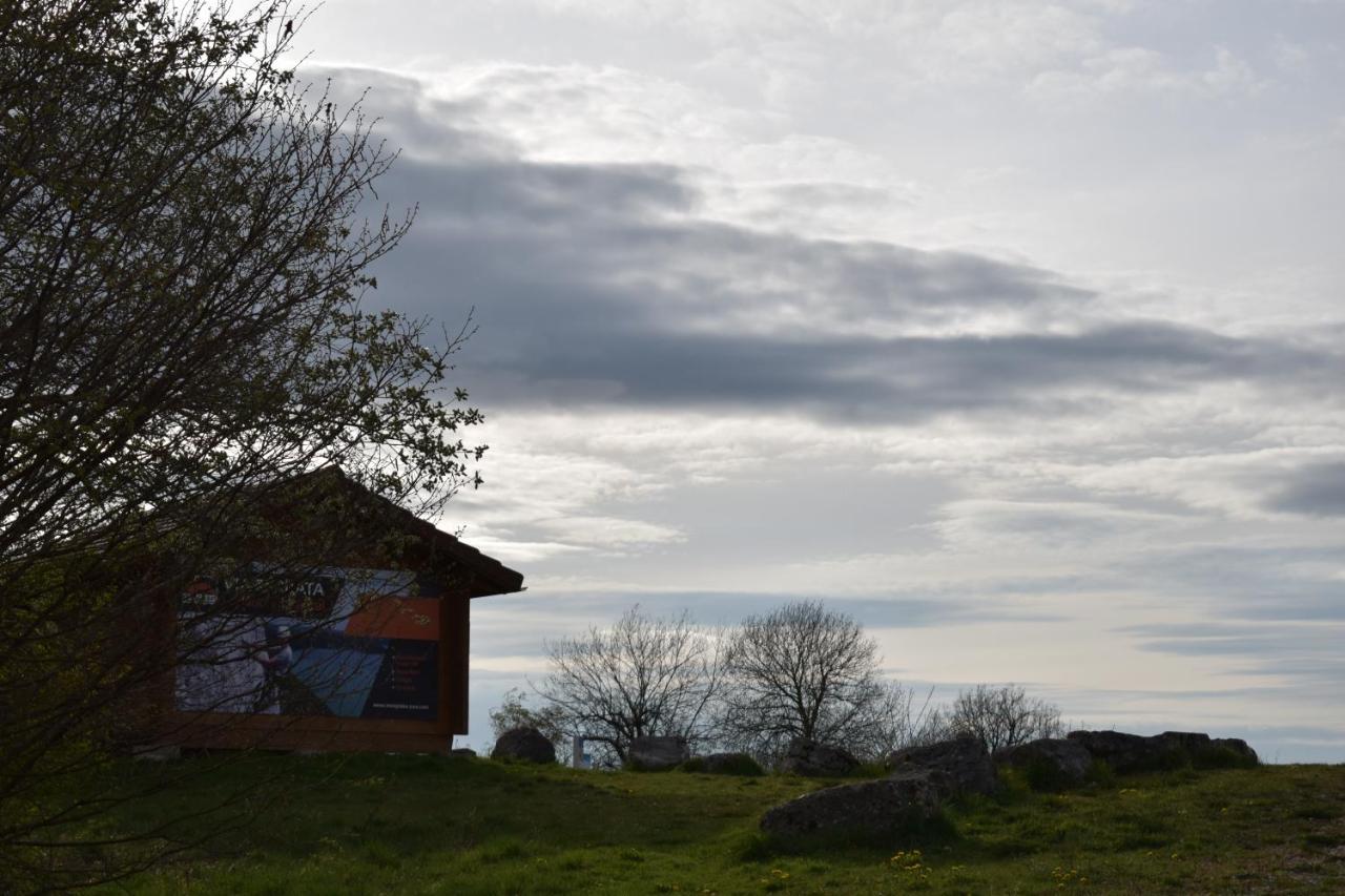 Hotel Le Meleze Moirans en Montagne Bagian luar foto