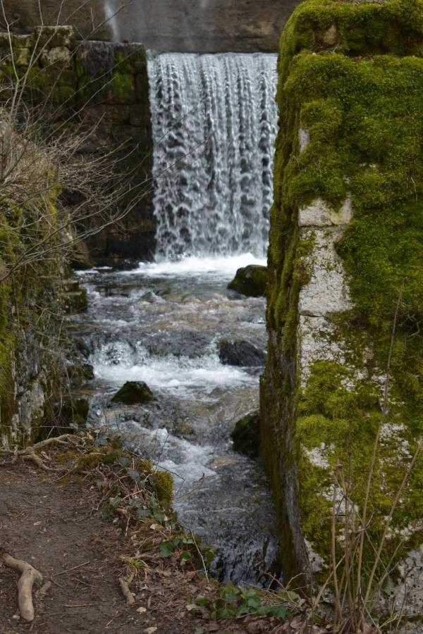 Hotel Le Meleze Moirans en Montagne Bagian luar foto