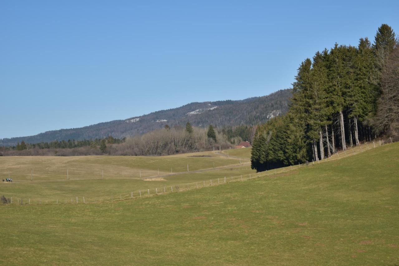 Hotel Le Meleze Moirans en Montagne Bagian luar foto